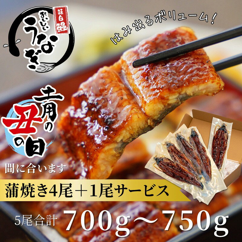 【ふるさと納税】三河産うなぎ「蒲焼大サイズ4尾+1尾(計700〜750g)」・A202うなぎ 鰻の蒲焼 蒲焼 うなぎ蒲焼き セット 詰め合わせ 惣菜 お惣菜 贈答 贈り物 ギフト 丑の日 お中元 お歳暮 お取り寄せ グルメ 人気 おすすめ 愛知県 西尾市 送料無料