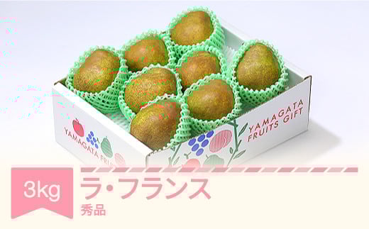 ラ・フランス 洋梨 ラフランス 秀品 約3kg 2025年産 令和7年産 果物 sb-lasyx3