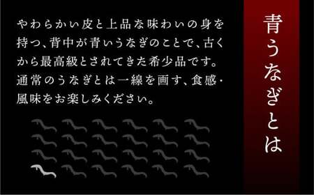 厳選 高級 青手うなぎ 白焼 3本セット うなぎ ウナギ 鰻 蒲焼き 土用丑の日 グルメ ギフト プレゼント 男性 女性 お取り寄せ 田原市 送料無料