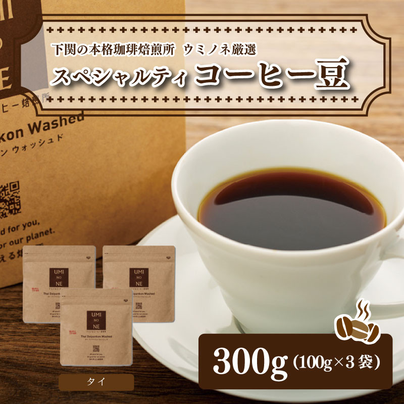 
スペシャルティ コーヒー豆セット タイ 300g(100g×3袋) 下関市 山口
