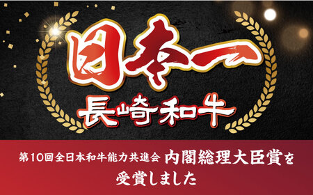 【A4～A5】長崎和牛切り落とし　500g＜株式会社MEAT PLUS＞[CFT003]