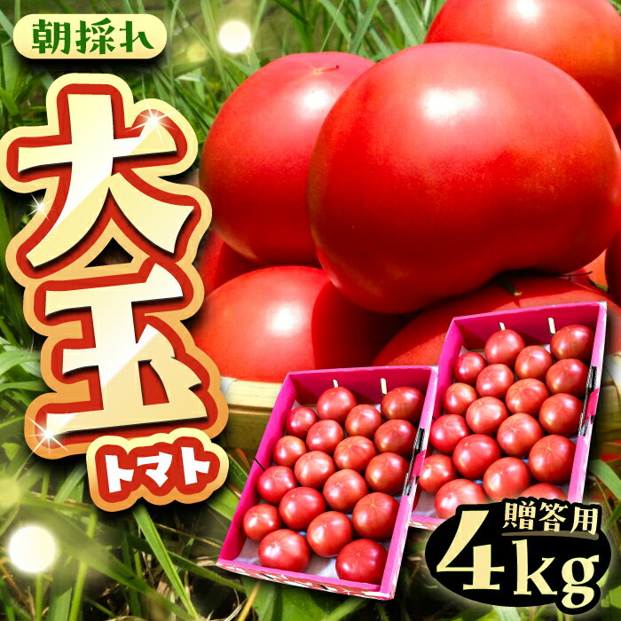 【ふるさと納税】＼キャンペーン実施中！／【先行予約】【7月中旬から10月中旬に順次発送】大玉トマト 4kg お取り寄せ 産地直送 とまと トマト 野菜 やさい プレゼント 岐阜市産 恵那市産 /恵那市/クリエイティブファーマーズ[AUAH013]