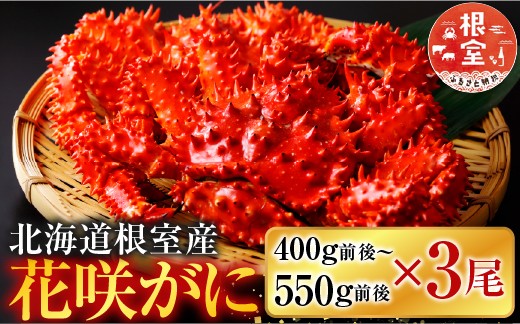 
                  A-36029 【北海道根室産】花咲かに400g前後～550g前後×3尾
                