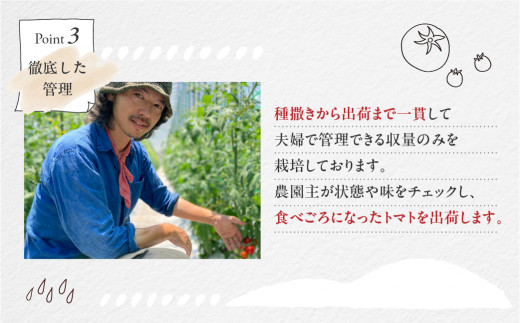 【2026年7月上旬頃から順次発送】地元下呂市の人気者！大地の恵みがぎゅーっと詰まった果肉が厚い 大玉トマト 約 4kg（サイズ混合）期間限定≪谷下農園 有機JAS認証農園の完熟トマト使用≫《飛騨下呂産》麗月 とまと 産地直送 4キロ 野菜 トマト