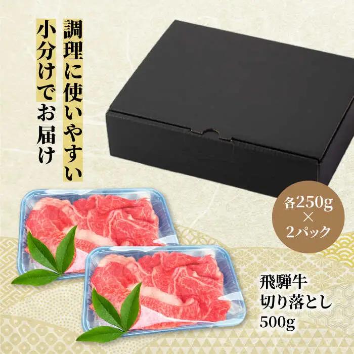 飛騨牛 切り落とし500g(250g×2) A5飛騨牛【マルゴー】[MBE002]