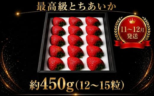 【先行予約】【年内発送】とちあいか贈答用 黒箱450g ｜果物 苺 イチゴ 人気 ギフトBOX 栃木県  真岡市 【栃木県 真岡市産】