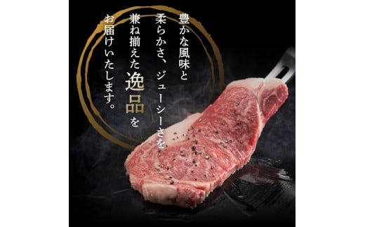 富士山麓牛　ロース薄切り＆ロースステーキセット ステーキ 国産 富士山麓牛 精肉 冷凍 送料無料 山梨 富士吉田