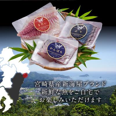 ふるさと納税 延岡市 宮崎産 刺身3種セット 真鯛・ぶり・カンパチ 各種900g 計2700g(冷蔵) |  | 01