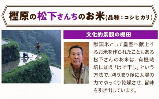 かみかつ棚田未来づくり協議会 米 かみかつの棚田米 松下さんちのお米 白米 コシヒカリ レターパック配送 3合《30日以内に出荷予定(土日祝除く)》 徳島県 上勝町 ふるさと納税 送料無料st-p