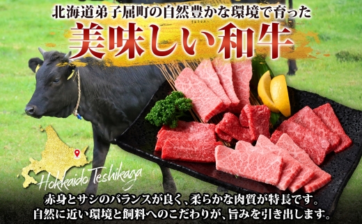 2935. 黒毛和牛 塩 ローストビーフ 300g 2パック 計600g A4 A5 等級 北海道産和牛 弟子屈牛 モモ モモ肉 肉 牛 牛肉 和牛 お肉 肉加工品 加工肉 ディナー おつまみ お取り