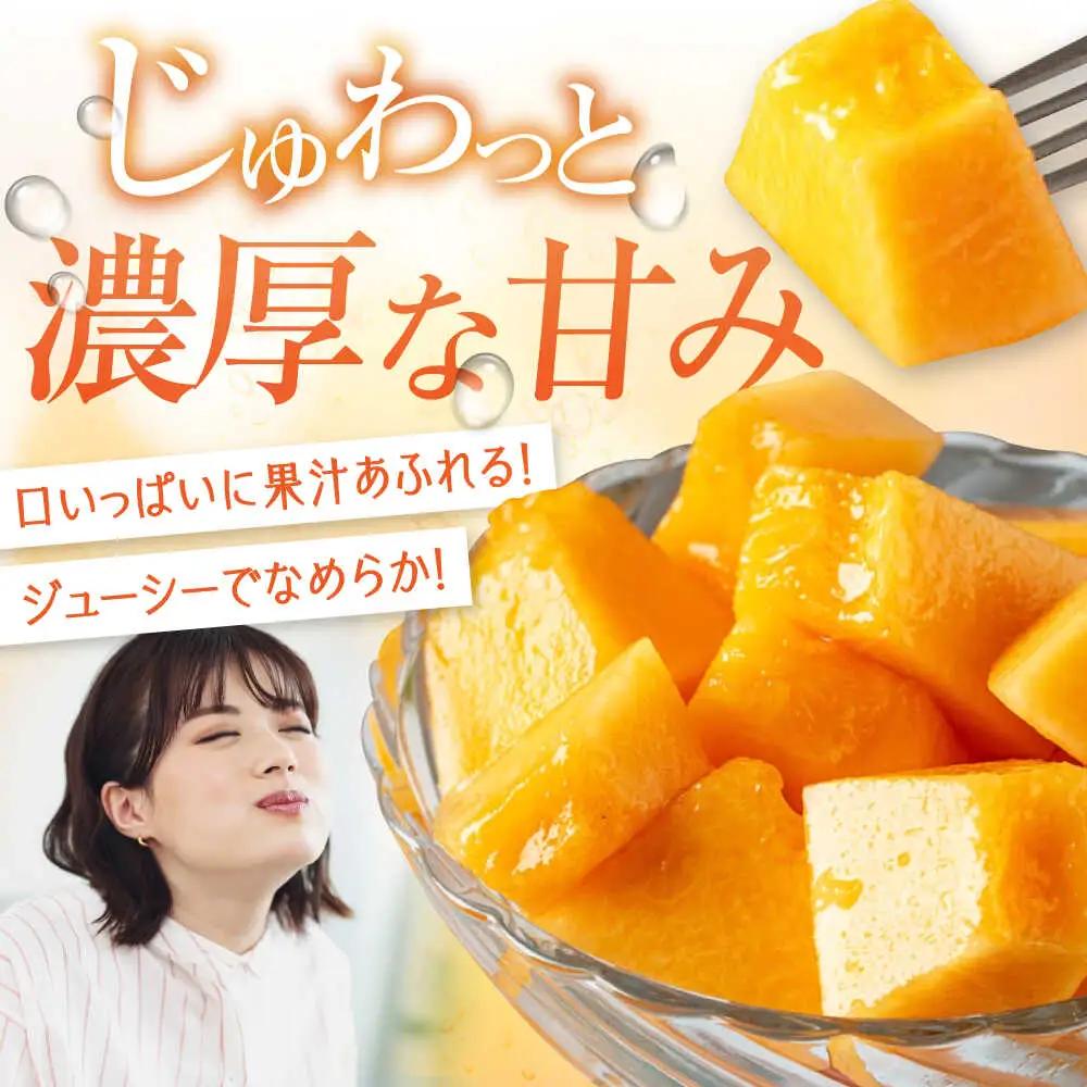 【先行予約】赤肉メロン2玉 [AJAK024] メロン 夏