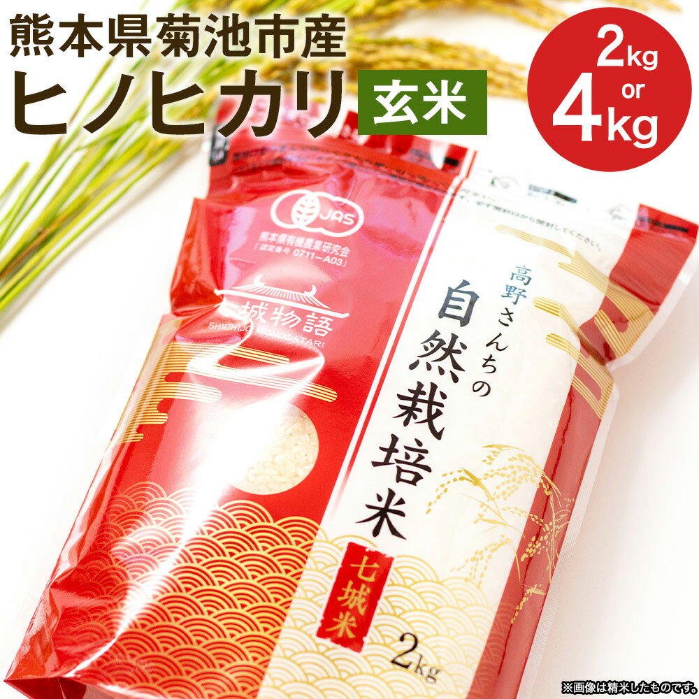 【ふるさと納税】熊本県菊池産 ヒノヒカリ 玄米 選べる 2kg 4kg 令和7年産 七城物語 高野さんちの自然栽培米 米 お米 自然栽培米 特A 国産 九州産 熊本県産 送料無料 《30日以内に出荷予定(土日祝除く)》