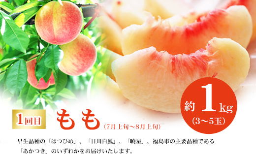 No.2768福島のフルーツ定期便３種【2025年発送】
