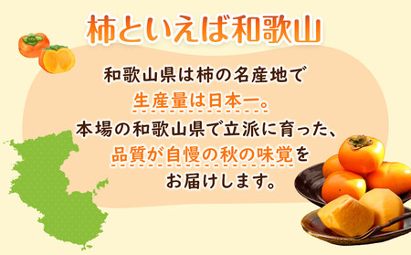 【2025年11月上旬以降発送】◆先行予約◆和歌山県産 富有柿 ＜ご家庭用＞ 約3kg 満杯詰め
