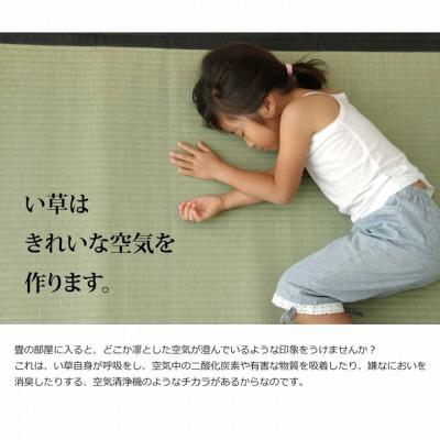 ふるさと納税 八代市 い草 上敷き 清正 江戸間 4.5畳 261×261cm【イケヒコ・コーポレーション】(八代市) |  | 02