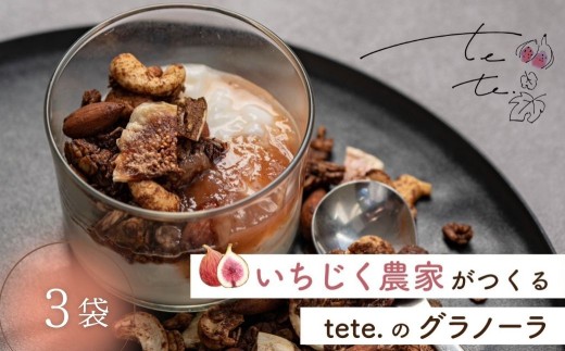 tete.の グラノーラ 3袋 | 無花果 イチジク 高級品 くだもの 果物 フルーツ ドライフルーツ 朝食 tete. [mt1727] 12000円