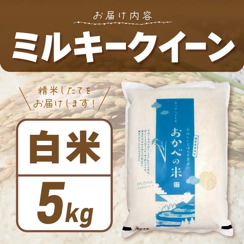 令和8年産 ふっくら モチモチ食感 大人気 濃厚 ミルキークィーン（白米）5kg【新米 米】 [m29-a031]