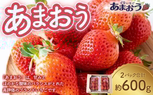 千年いちご あまおうイチゴ (300g×2パック) 2月お届け あまおう いちご イチゴ 苺 フルーツ 果物 冷蔵 送料無料 福岡県 うきは市 【2026年2月より順次発送予定】