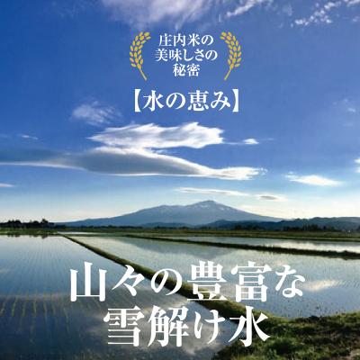 ふるさと納税 酒田市 【令和7年産】山形県の米どころ庄内平野で育った庄内米　はえぬき5kg×2袋計10kg(精米) |  | 01