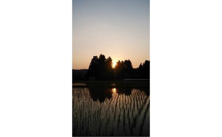 【十日町産】 魚沼産コシヒカリ5kg