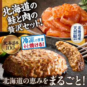 石狩市人気返礼品TOP2コンビセット(鮭ルイベ漬・ありがとうハンバーグ) | さけ いくら 佐藤水産 ハンバーグ 牛肉 ホクビー 北海道 石狩市