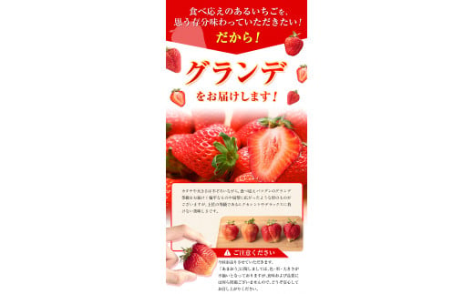 ★2025年出荷分★【先行予約】いちご あまおう 1620g (約270g×6パック) 苺 【着日指定不可】《3月中旬-4月末頃出荷予定》 イチゴ 果物 フルーツ  ---fn_ckrama_bc3_