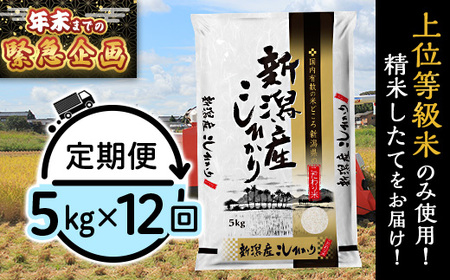 31-K5ZB【2026年2月発送開始】新潟県産コシヒカリ5kg【12ヶ月連続お届け】