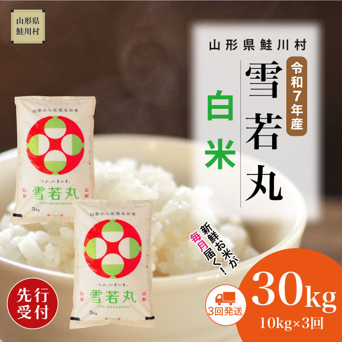 ＜令和7年産米先行受付＞ 鮭川村産 雪若丸 【白米】30kg定期便 (10kg×3回)　配送時期指定できます！