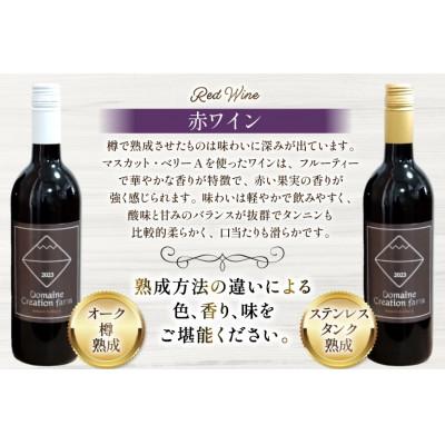 ふるさと納税 韮崎市 ぶどう3兄弟(ワイン・ジュース・ヴェルジュ)4本セット |  | 03