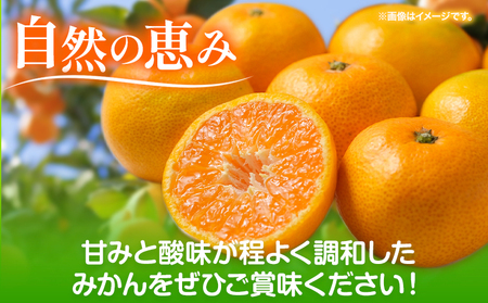 和歌山県産 みかん 約5kg(Sサイズ)冬木農園 《2024年12月上旬‐1月中旬頃出荷予定》 ｜みかんみかんみかんみかんみかんみかんみかんみかんみかんみかんみかんみかんみかんみかんみかんみかんみかん