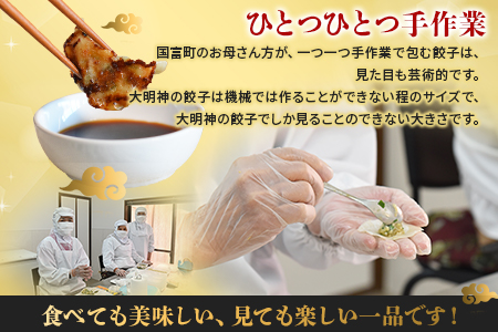 ★数量限定★＜手づくり 一口餃子 60個入り＞翌月末迄に順次出荷【 餃子 ぎょうざ ギョウザ ギョーザ 宮崎餃子 一口餃子 大明神 鶏肉 豚肉 野菜 -】 60個　21,000円