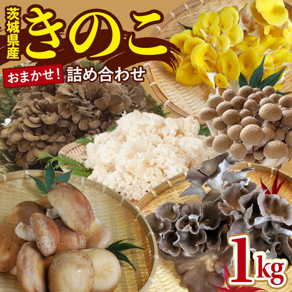 きのこの詰め合わせ 約1kg Sサイズ 大容量 キノコ 舞茸 あわび茸 たもぎ茸 しいたけ ぶなしめじ セット 鍋 炒め物 茨城県 城里町産 (AU004)