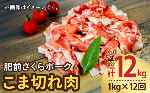 
【12回定期便】＜毎日のお料理に便利に使える♪＞肥前さくらポーク こま切れ 1kg （500g × 2パック） 佐賀県産 国産豚肉 小間 小分け 吉野ヶ里町/アスタラビスタ [FAM031]
