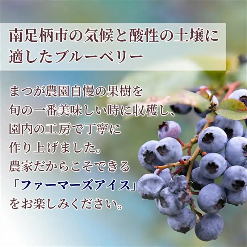 アイス まつが農園 アイスクリーム ギフト 12個入り 【 果物 フルーツ 旬 食品 添加物不使用 食べ比べ 詰め合わせ 詰合せ アイス カップアイス アイスクリーム シャーベット ギフト プレゼント