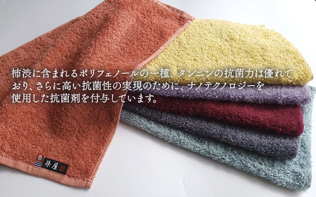 ＜ 今治タオルブランド認定品 ＞ 天然由来の抗菌タオル 「柿渋染め 古来の彩（いろ）」　ゲストタオル 6枚セット（6色）