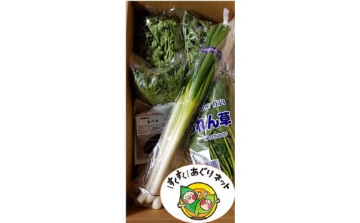 酒田市農業女子会が贈るおまかせお野菜セット SA0484
