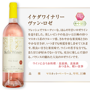 イケダワイナリー 2本セット【ヴァン・ルージュ / ヴァン・ロゼ】（MG）B12-675【ワイン イケダワイナリー 赤ワイン ロゼワイン 甲州市 山梨県】