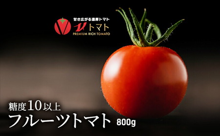 トマト800g  糖度10度以上  Vトマト 期間限定 フルーツトマト ミニトマト とまと 甘い 野菜 人気 リコピン 贈答 ギフト プレゼント 美味しい お取り寄せ 完熟 プチ おすそ分け 美容 健