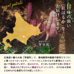 レビューキャンペーン実施中！【先行予約】【2025年11月下旬～発送】有機JAS認証 鈴鹿農園 さつまいも 紅はるか 5kg (土付き)国産 北海道産 さつま芋 栽培期間中 農薬不使用 送料無料 北海