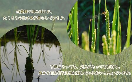 R7年産 自然栽培米 旭（玄米）5kg | 豊後高田市