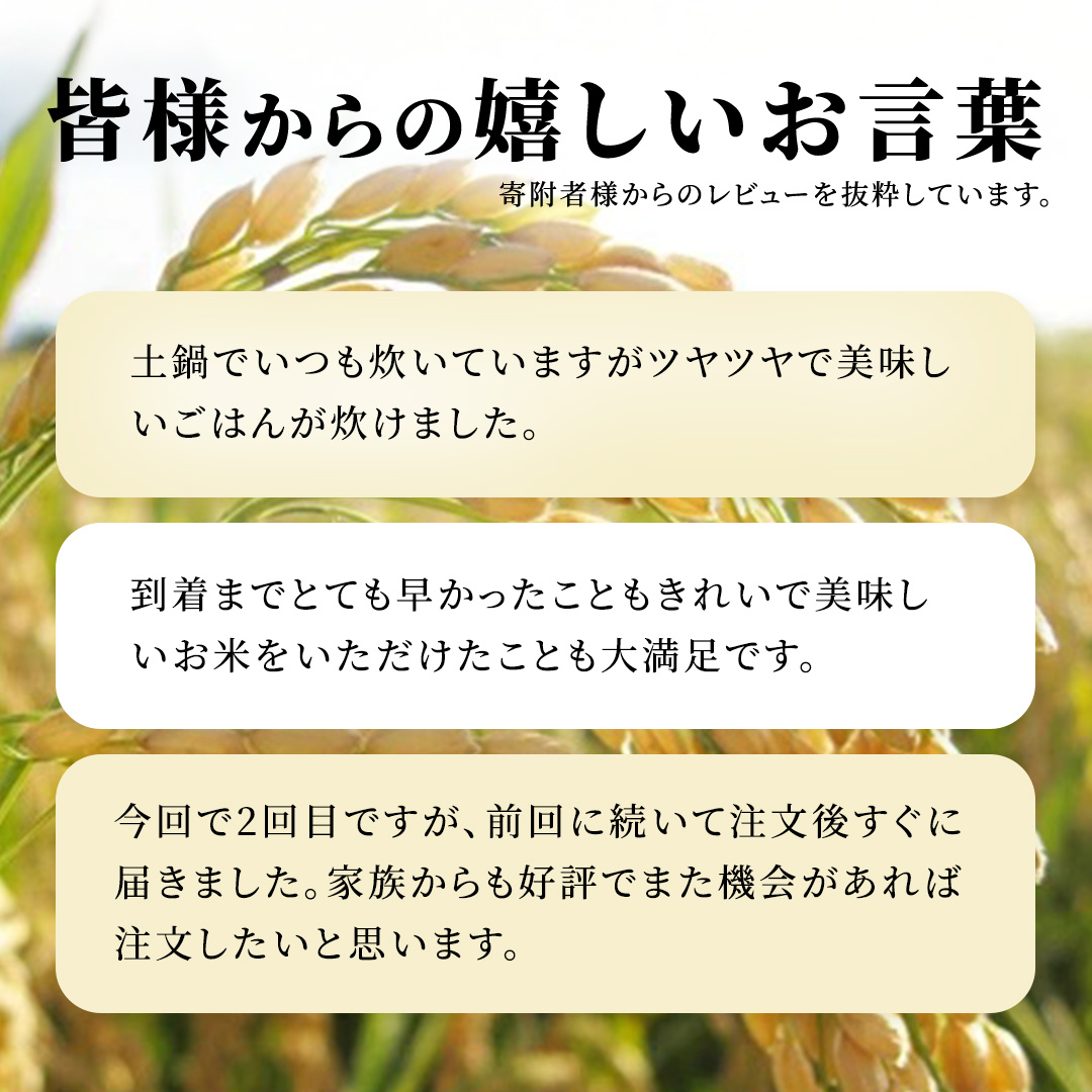 【新米】【 3ヵ月 定期便】 コシヒカリ 20kg ×3回 令和8年産 精米 (AX066)