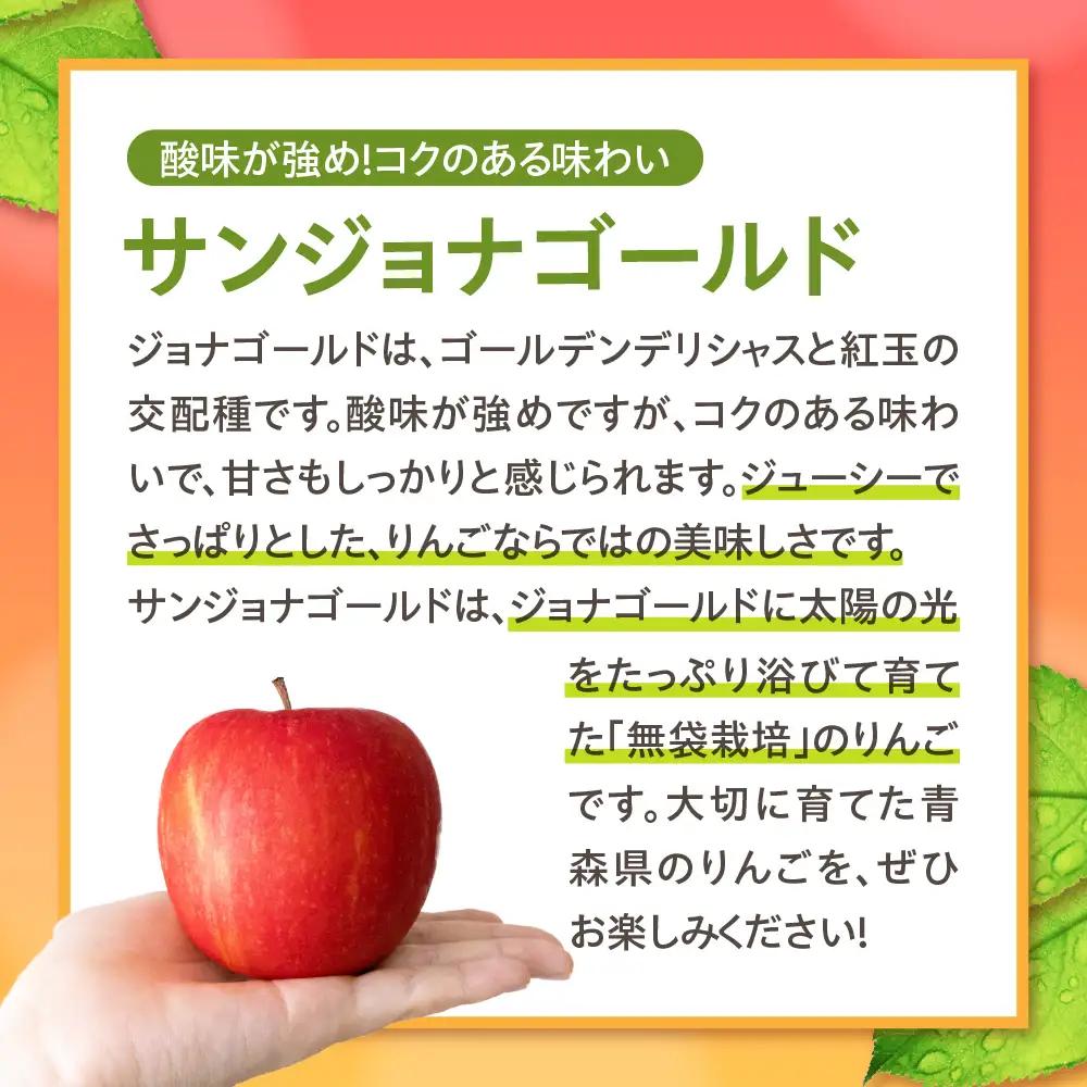 【10月後半以降順次発送】 りんご 約5kg 訳あり サンジョナゴールド 青森県産 りんご