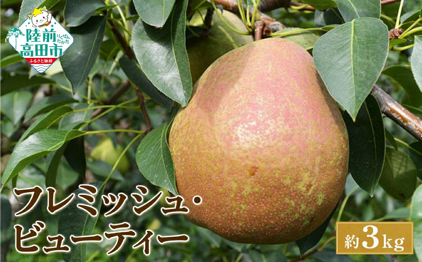 【ふるさと納税】先行予約 西洋梨 フレミッシュビューティー 3kg [ 梨 なし 洋梨 日面紅 フルーツ 果物 デザート 甘い 果肉 果汁 たっぷり 旬 秋 人気 おすすめ 産地直送 お取り寄せ 陸前高田 岩手 大和田果樹園 ]