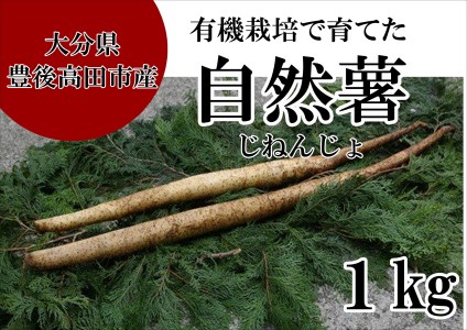 0C1-25 有機栽培で育てたこだわりの自然薯