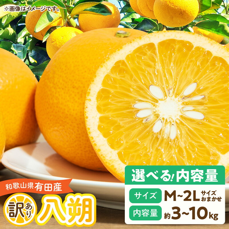 【ふるさと納税】【2027年先行予約】 はっさく 訳あり 選べる 内容量 3kg 5kg 10kg M〜2L サイズ おまかせ 和歌山県有田産 完熟 甘み 増す デザート おやつ 果物 柑橘 お取り寄せ 和歌山県 湯浅町 送料無料