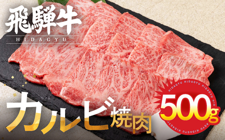 飛騨牛 カルビ焼肉 500g 冷凍 焼き肉 JAひだ 飛騨牛 [AH003]