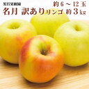 【ふるさと納税】名月 訳ありりんご 約3kg（約6～12玉）《黒岩果樹園》■2024年発送■※11月上旬頃～12月下旬頃まで順次発送予定 果物 フルーツ りんご 林檎 訳あり 家庭用