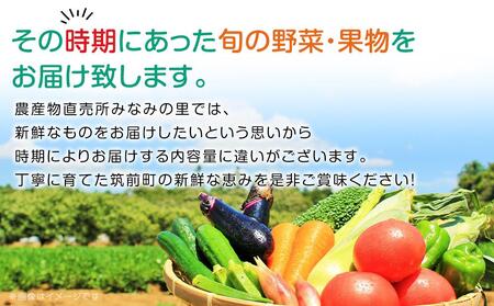 【直売所みなみの里厳選】旬の野菜・果物セット