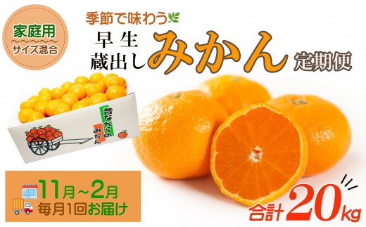 
                  ［みかん定期便］みかん 5kg 4回定期便 家庭用 和歌山県産みかん海南市下津みかん 早生みかん 蔵出しみかん 鈴木農園 ミカン 蜜柑 mikan 温州みかん 和歌山みかん 海南みかん しもつみかん 昔ながらのみかん 訳あり わけあり ワケアリ 訳アリ 訳有り 定期便 柑橘定期便 フルーツ定期便 果物定期便
                