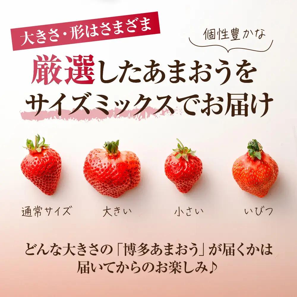 【先行予約】【アフター保証】4月発送！「博多あまおう」約250g×4パック【ほたるの里】_HA0526